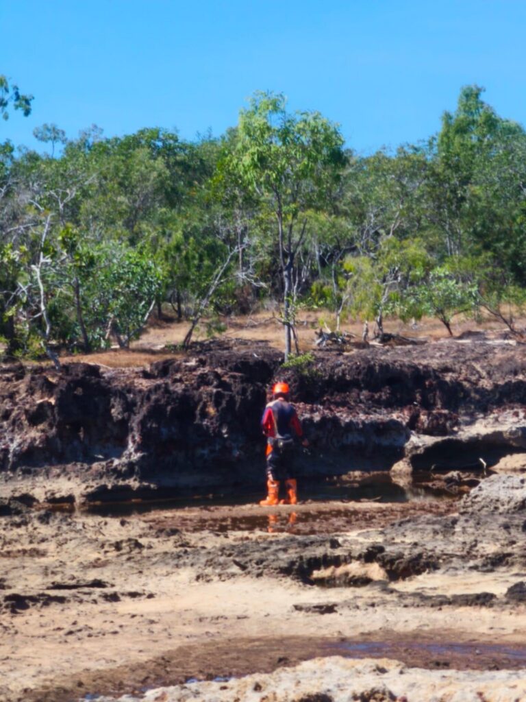 Cape York, 7 June 2026